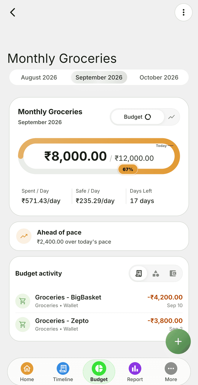 Caps grocery budget showing ₹8,000 spent of ₹12,000, with a safe amount to spend per day